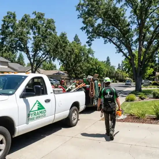 Cut Rite Tree Service LLC truck arriving at a Fresno residential job