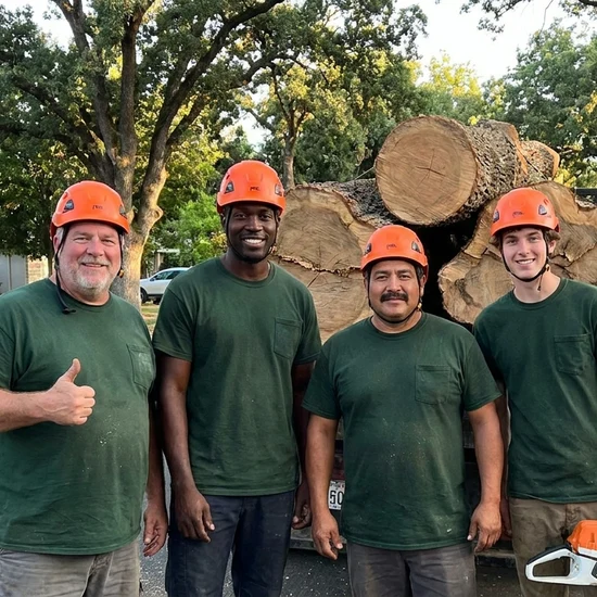 Cut Rite tree crew with a truck loaded with oak logs in Fresno