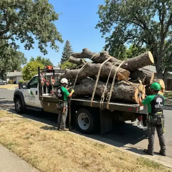 Tree service truck loaded with branches after a Fresno job